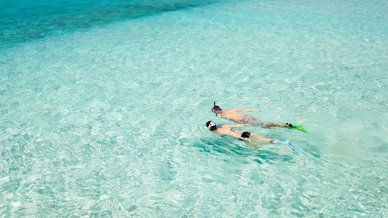 Snorkelling Caribbean honeymoon