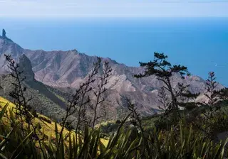 St Helena view canva pro