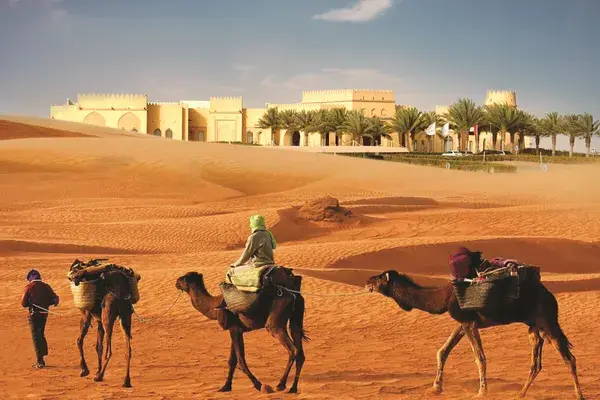 Tilal Liwa Exterior With Camels