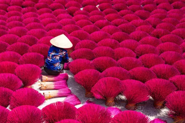 Vietnamese woman drying incense sticks Vietnam