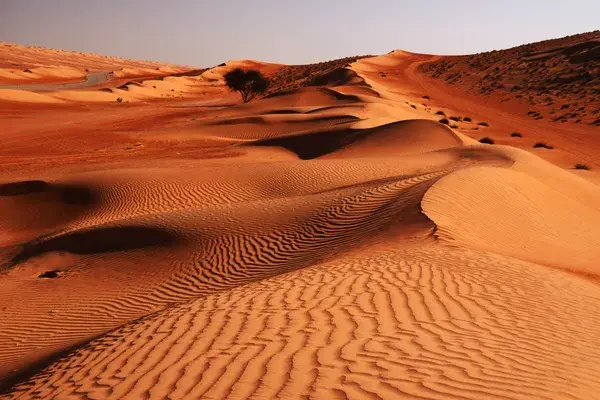 Wahiba Sands Desert